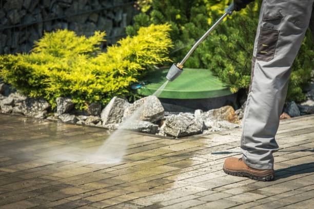 Best Dumpster Area Cleaning  in Clarksville, TX